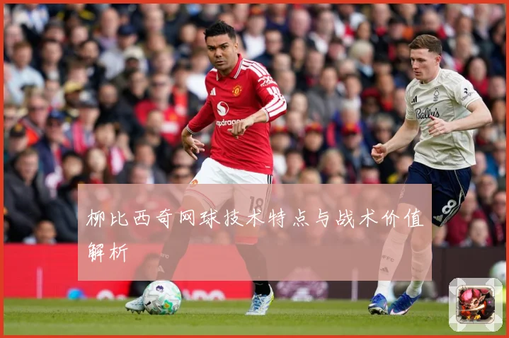 柳比西奇网球技术特点与战术价值解析
