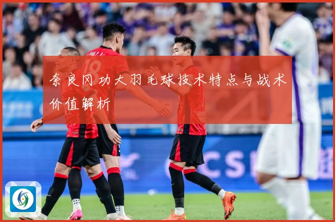 奈良冈功大羽毛球技术特点与战术价值解析