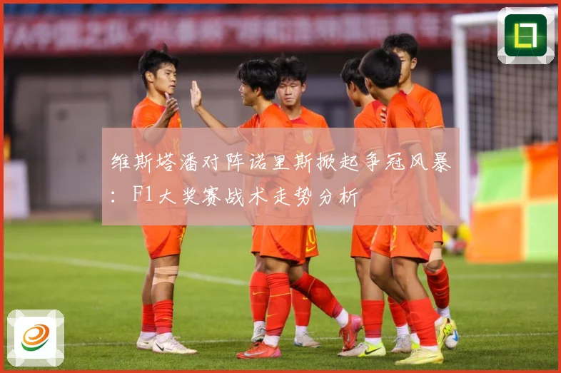 维斯塔潘对阵诺里斯掀起争冠风暴：F1大奖赛战术走势分析
