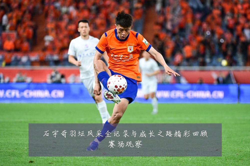 石宇奇羽坛风采全记录与成长之路精彩回顾赛场观察
